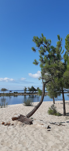 Lac d'Hourtin - Thumbnail
