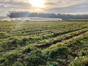 Photo n°3 de Cueillette de Torfou à Torfou (Maraîcher)