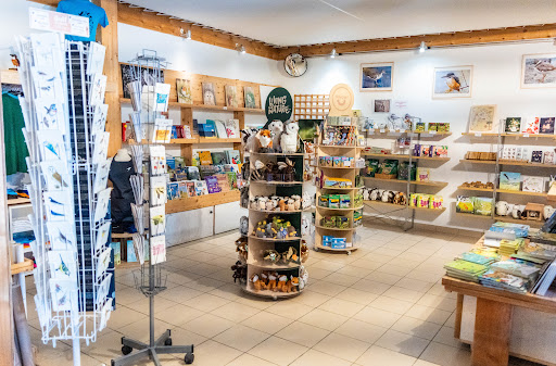 Photo de Il Etait Une Fois à Mios (33380)