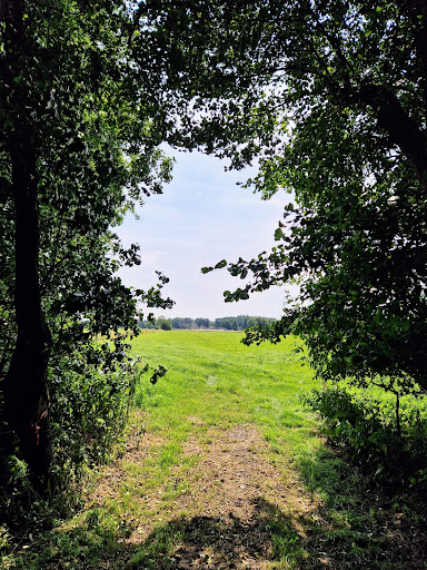NSG Schnapbrokermoor - Thumbnail