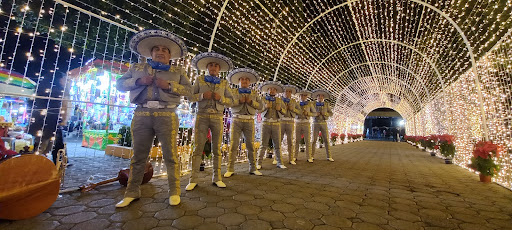 Mariachi Torres de América