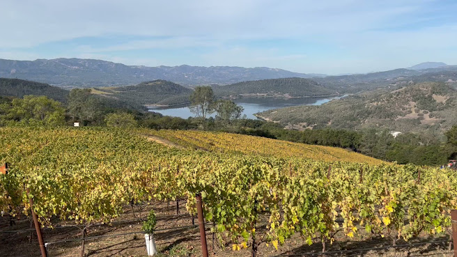 California Wine Tours and Transportation by null