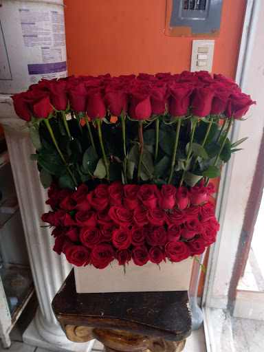 Espacio floral - Visual
