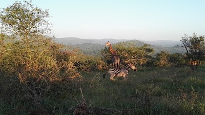 Photos of Bayete Zulu Game Reserve