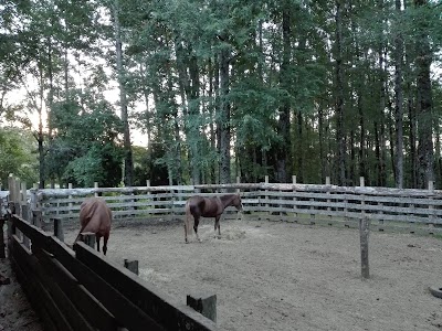 Photos of Park