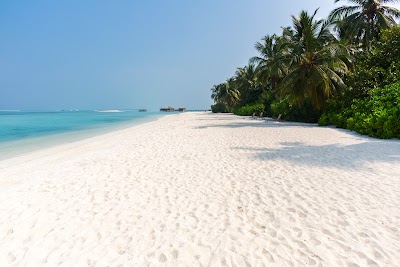 Photos of Cocoon Maldives