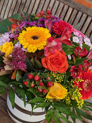 BlumenKontor - Thumbnail