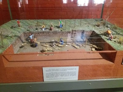 Photos of Museo La Ligua