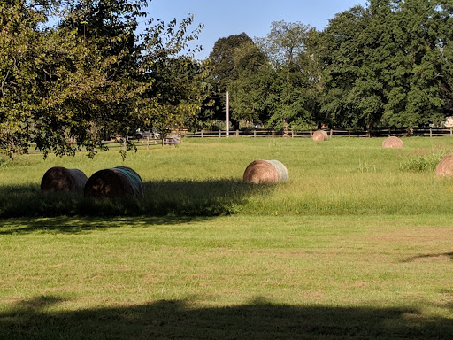 Louise Moore County Park - Thumbnail