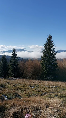orar Pasul Tihuța