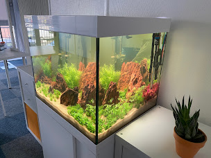 Photo n°17 de Calvados AQUARIUM à Graye-sur-Mer (Designer d'intérieur)