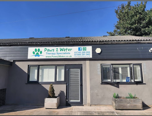 Paws 2 Water Therapy Specialists
