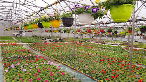 Photo de Les Jardins de Péline