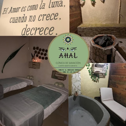 AHAL IBOGA CENTRO DE SANACION