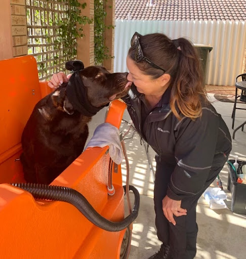 Petbarn Mobile Dog Wash Marangaroo - Thumbnail