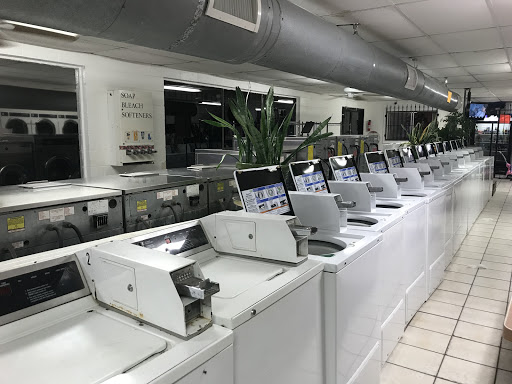 Bertha Laundry - Visual