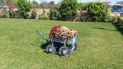 Photos of afyonkarahisar Equestrian Club