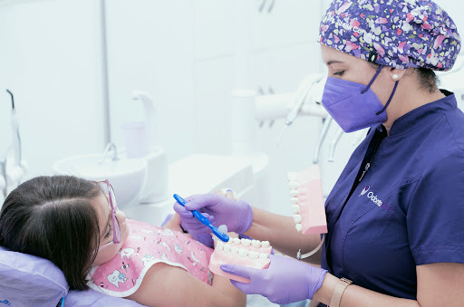 Odontoline Vilafranca