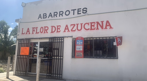 Abarrotes La Flor de Azucena