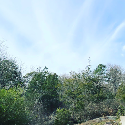 City Of Conyers, GA - Thumbnail