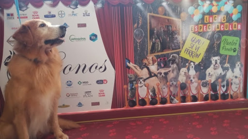 Kronos Veterinaria y Estética.