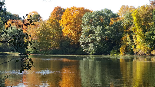 Wellesley Country Club - Thumbnail