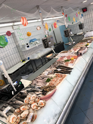 Lido Pesca - Thumbnail