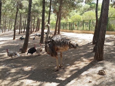 Safari Park Gaziantep