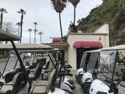 Island Rentals Inc. Gallery - United States