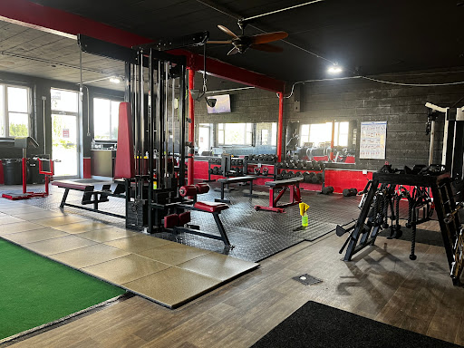 Bite Down Training - Visual