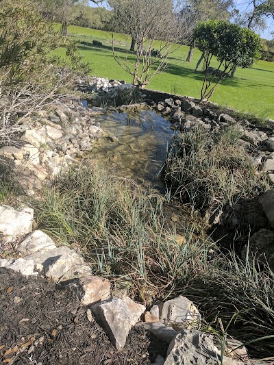Photos of The Milestone | New Braunfels