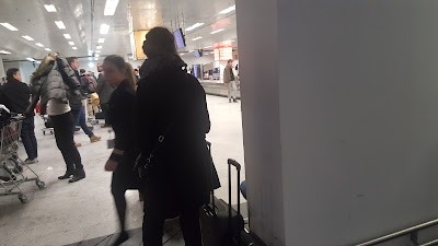 Photos of Gray Line