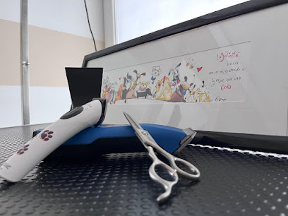 Baullezza Toelettatura cani & SPA