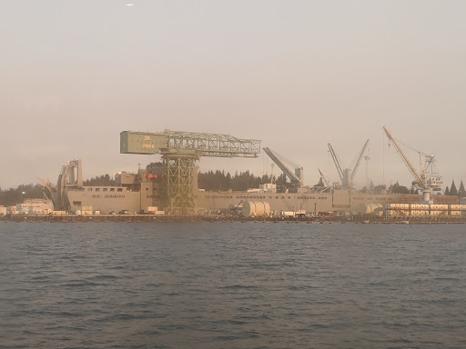 Hammerhead Crane - Visual