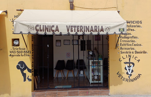 Veterinaria Vet-Pro