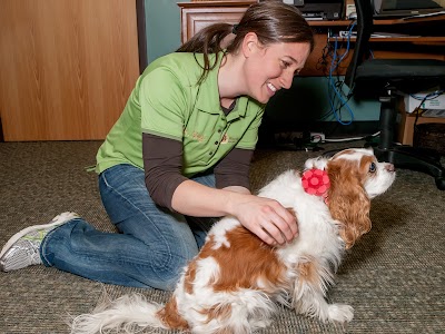 Rhythm of Life Animal Chiropractic