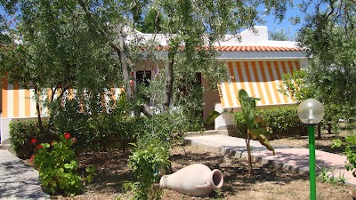 Photos of Village Little America