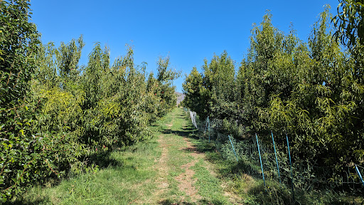 Bloom Ranch of Acton Gallery - United States