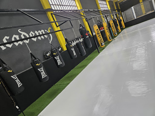 Gladiator Academy - Visual