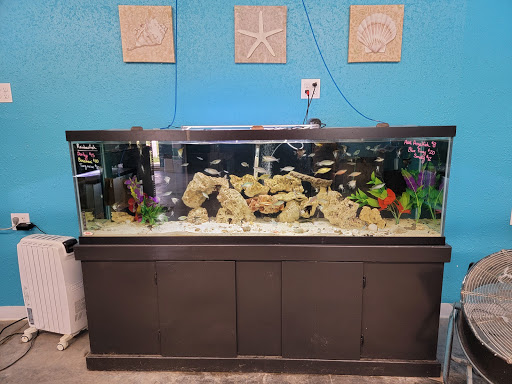 Fish Barn - Visual