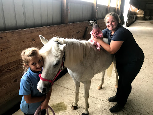 Bull Run Stables - Thumbnail