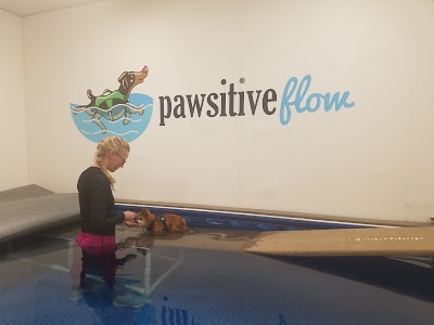 Pawsitive Flow