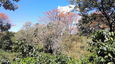 Photos of Pr&oacute;ximo Parque Del Norte (Antiguo Relleno Sanitario)