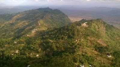 Photos of Susu