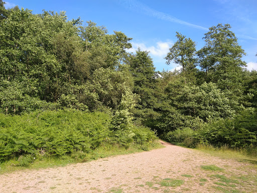 Abraham's Valley