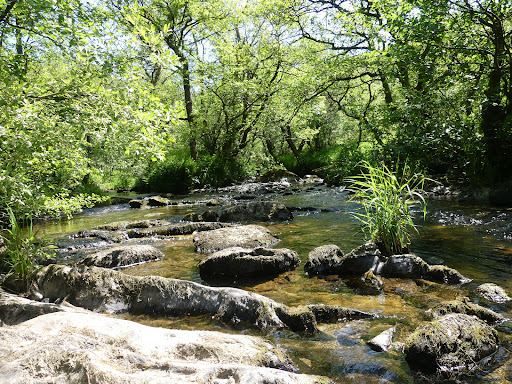 Gilfach Nature Reserve - Thumbnail