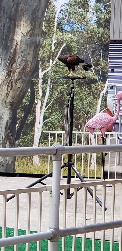 Kentucky Kingdom Avian Adventure