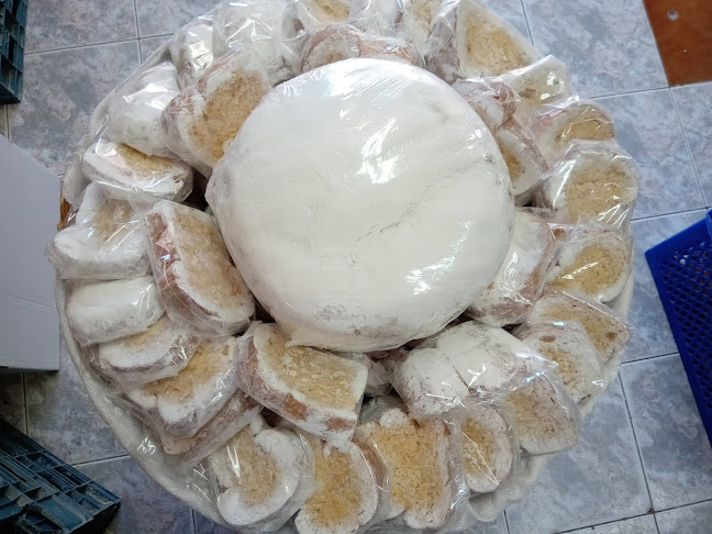 Comentarii opinii despre ΑΡΤΟΚΟΣΜΟΣ