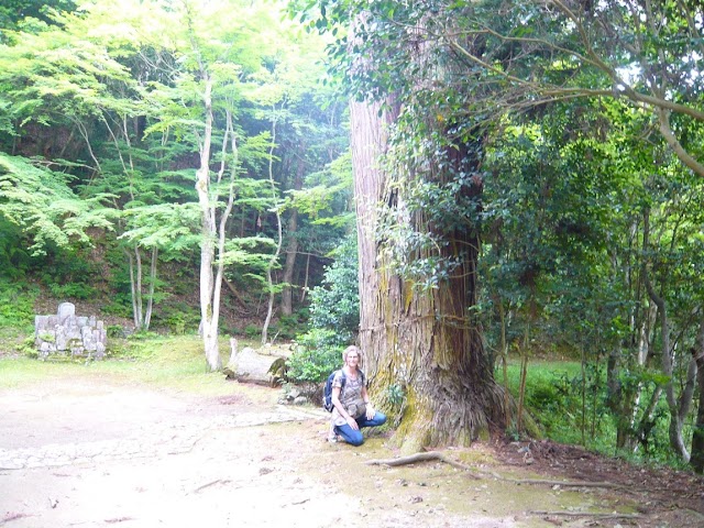 Daitokuji Sanshu Temple