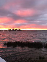Photo n°4 de Les Viviers de la Forêt à La Forêt-Fouesnant (Bar-restaurant à huîtres)